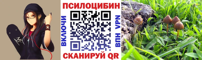 Галлюциногенные грибы Magic Shrooms  где купить   даркнет наркотические препараты  Шенкурск 